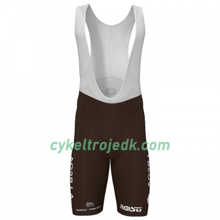 Bib Cykelshorts 2020 AG2R La Mondiale N002 